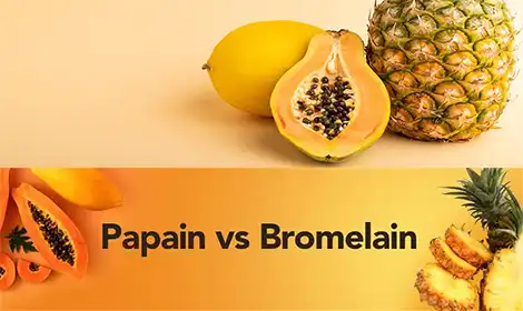 Bromelain vs. Papain: Key Differences You Must Know